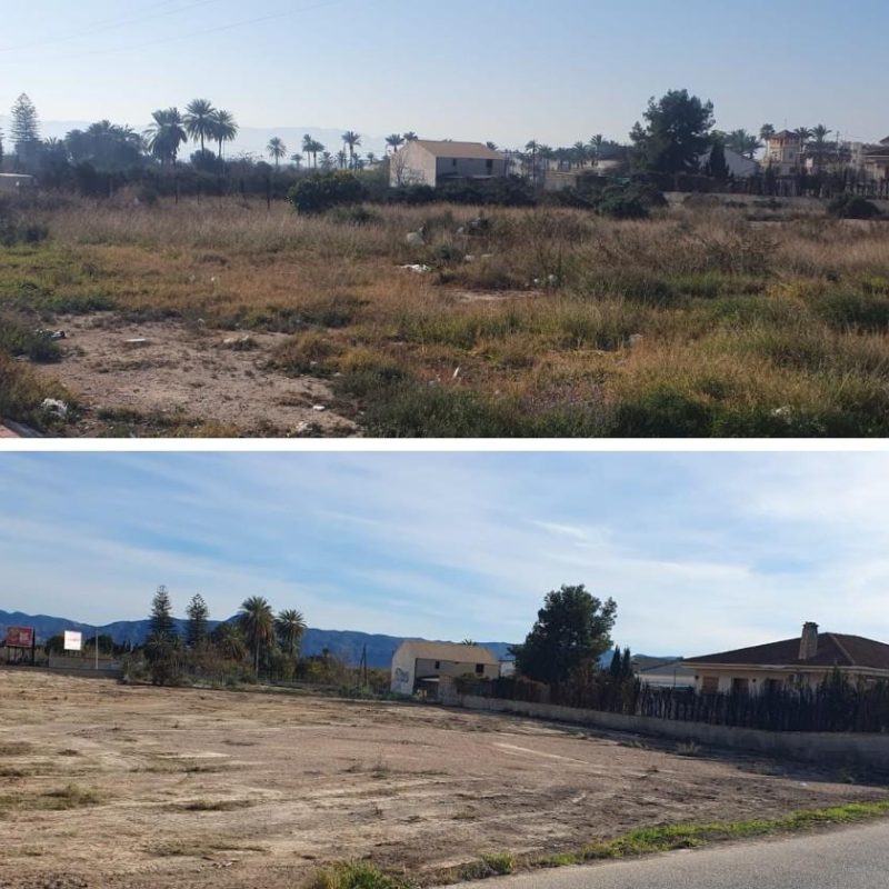 imagen de whatsapp 2025 08 05 a las 11.04.10 bd225776